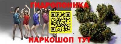 шишки Пушкино