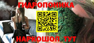 шишки Пушкино