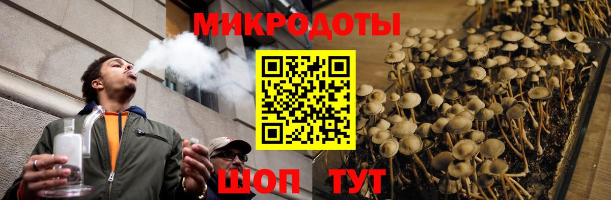 Галлюциногенные грибы Cubensis Сердобск
